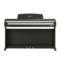 Preview: Kurzweil M210