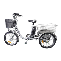 Preview: Batribike TRIKE 20