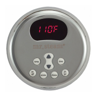 Preview: mr. steam TEMPO/PLUS