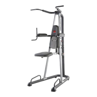 Preview: Weider 390 Power Tower