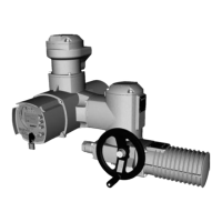 Preview: AUMA SG 12.1