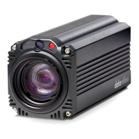 Preview: Datavideo BC-80