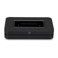 Preview: Bluesound NODE