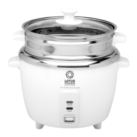 Preview: Lotus LF-100