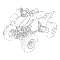 Preview: Honda TRX300X