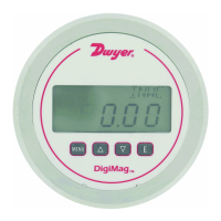 Preview: Dwyer Instruments Series DM-1000