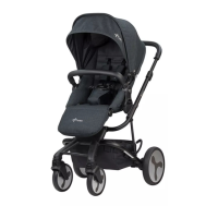 Preview: Britax Flexx