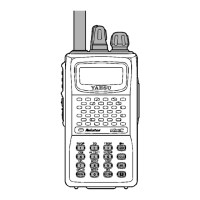 Preview: Yaesu VXA-200