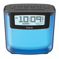 Preview: iHome iBT280