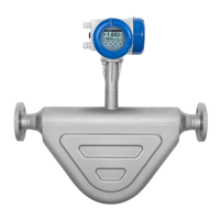 Preview: KROHNE OPTIMASS 6000