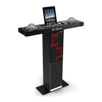 Preview: iDance XD300