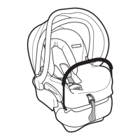 Preview: Dorel OS 2010