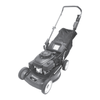 Preview: Bushranger 48AL7M