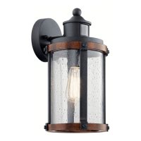 Preview: Kichler Lighting 39502
