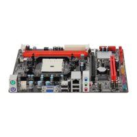 Preview: Biostar A55MLV