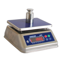 Preview: T Scale JWP