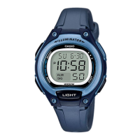 Preview: Casio 3455