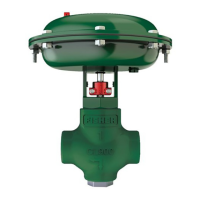 Preview: Fisher D2 T FloPro