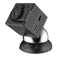 Preview: Conbrov WF98