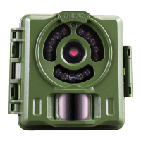 Preview: Primos 63063