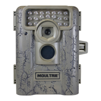 Preview: Moultrie D-333