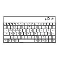 Preview: GMYLE NPL710001