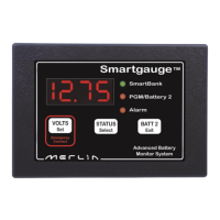 Preview: Merlin SmartGauge