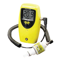 Preview: Teledyne GB300