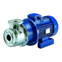 Preview: Lowara FHF SERIES