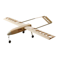 Preview: ELE RC RQ-7