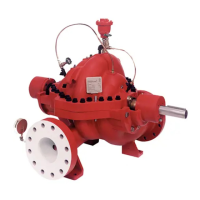 Preview: Fire Pump 8100 Series