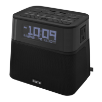 Preview: iHome HBH88