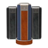 Preview: Cavalier CAV1-PLUS