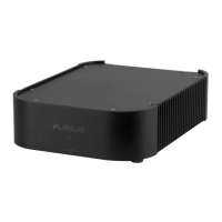 Preview: Plinius P100