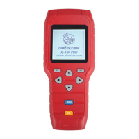 Preview: Obdstar X-100 PRO