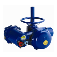 Preview: Bernard INTELLIBUS FF