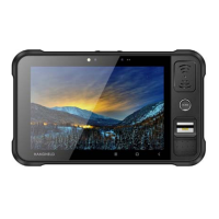 Preview: Chainway P80