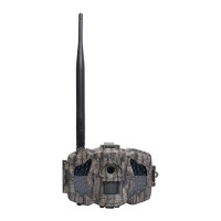 Preview: Boly MG983 G-36 M