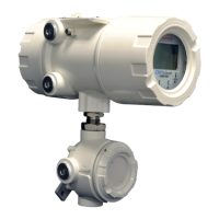 Preview: Ametek OXYvisor