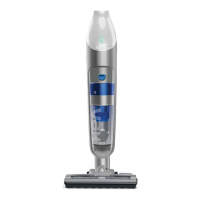 Preview: Vax TBTSV1B1