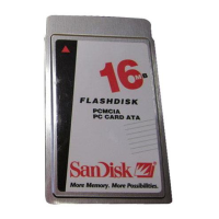 Preview: SanDisk SDP3B
