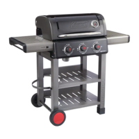 Preview: Coleman COOKOUT G45149