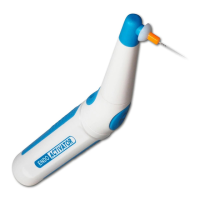 Preview: DENTSPLY EndoActivator