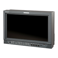 Preview: Ikegami HLM-1705WR