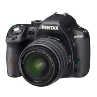 Preview: Pentax Silkypix K-500