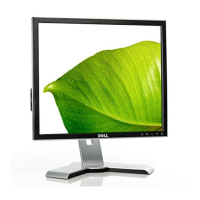 Preview: Dell 1907 FPf