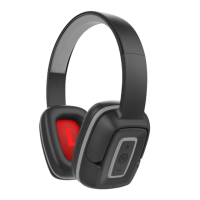 Preview: Maxell BT-300