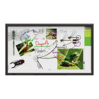 Preview: BOXLIGHT ProColor