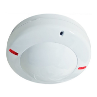 Preview: Rielta ORLAN-2