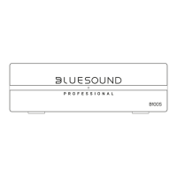 Preview: Bluesound B100S